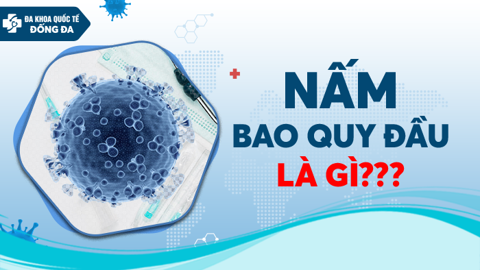 Nấm bao quy đầu là gì