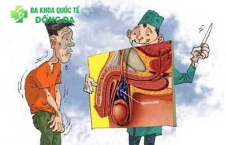 Hiểu rõ hơn về các bệnh lý tinh hoàn