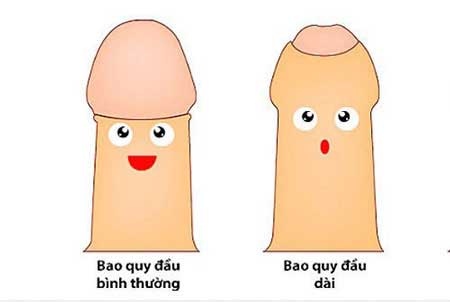 dai-bao-quy-dau