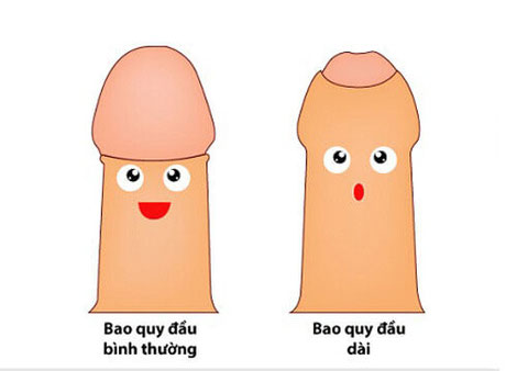 dai-bao-quy-dau