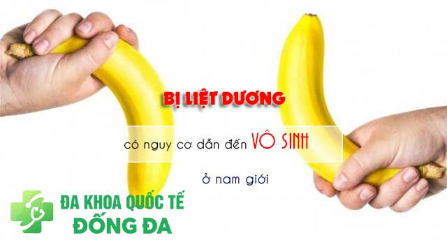 Liệt dương có thể dẫn đến vô sinh?