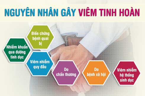 nguyen-nhan-viem-tinh-hoan